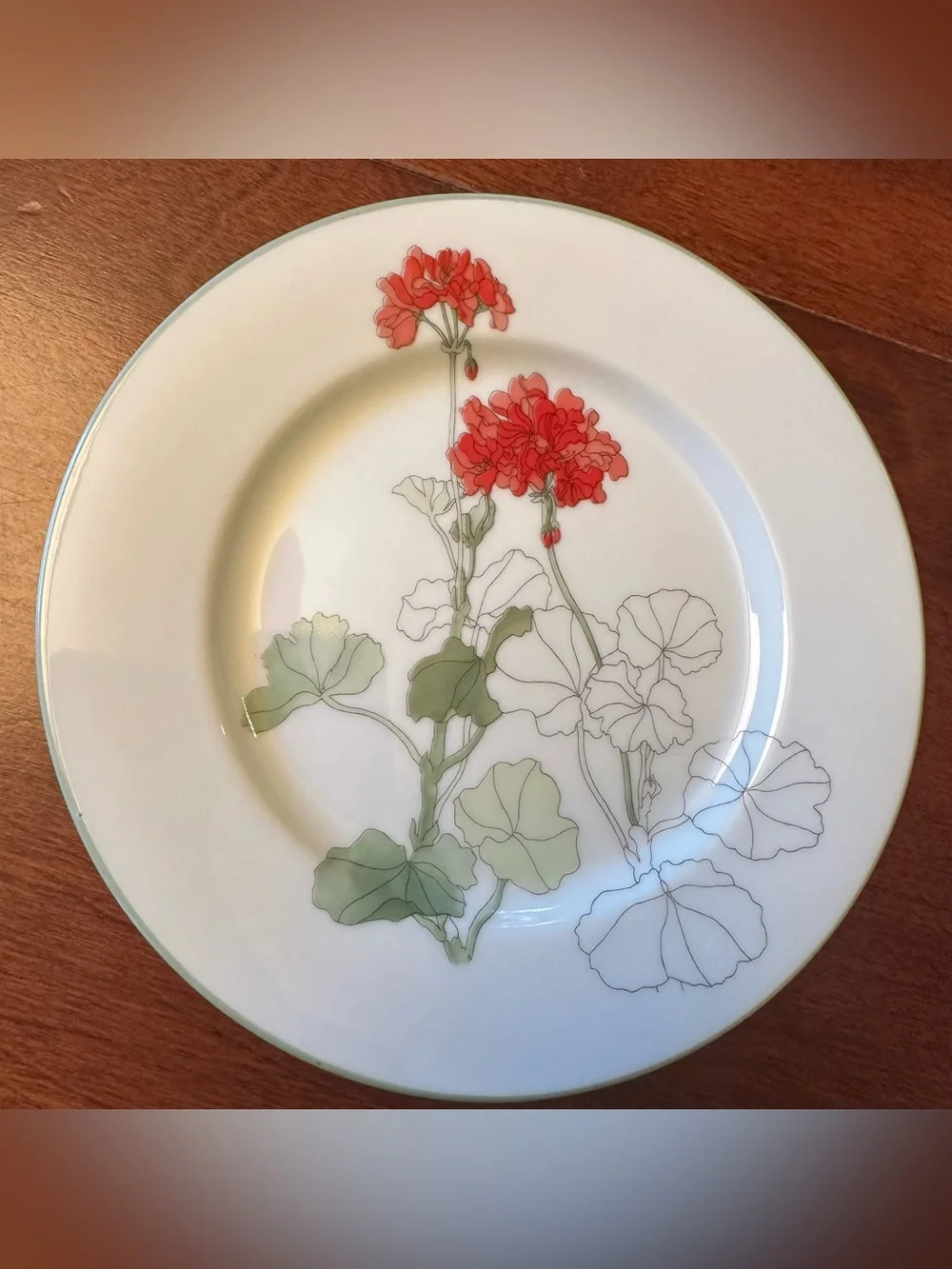 Set of 6 Watercolors Block Spal Geranium Poppy Rose + Bread/Dessert Plates 6.25